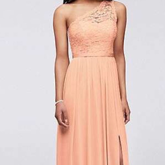 David’s Bridal bridesmaid dress - Picture 5 of 5